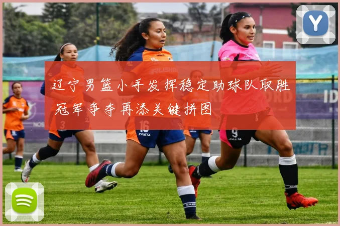 辽宁男篮小手发挥稳定助球队取胜 冠军争夺再添关键拼图