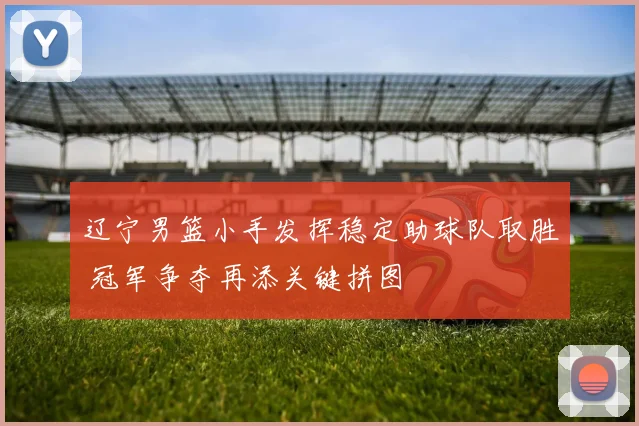 辽宁男篮小手发挥稳定助球队取胜 冠军争夺再添关键拼图