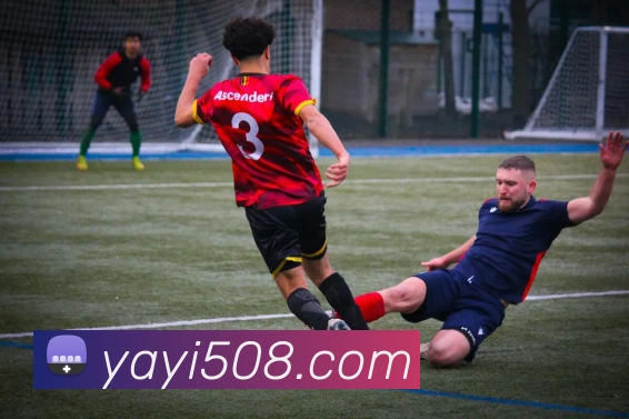 多媒体互动体验